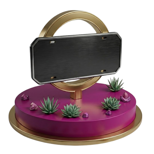 CUSTOMOWA REJESTRACJA